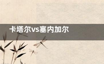 卡塔尔vs塞内加尔 又是被打爆的节奏